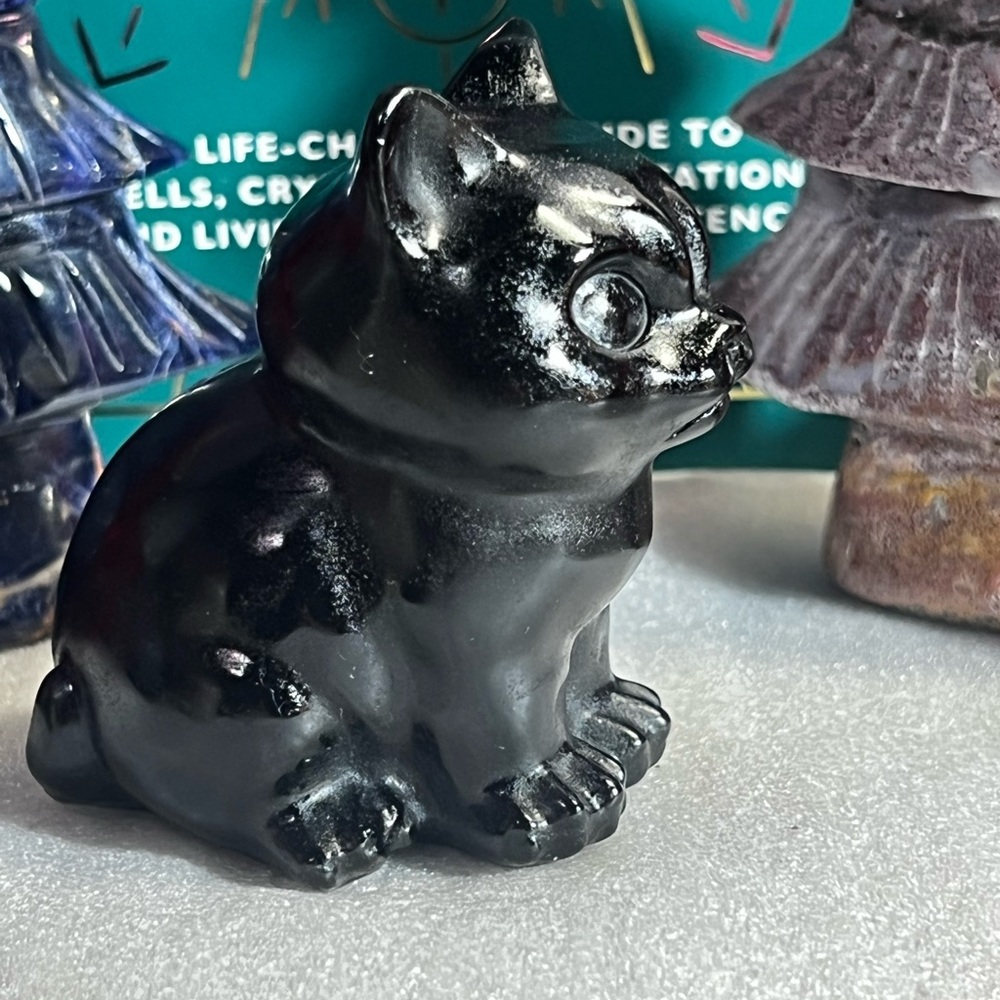 Black Cat